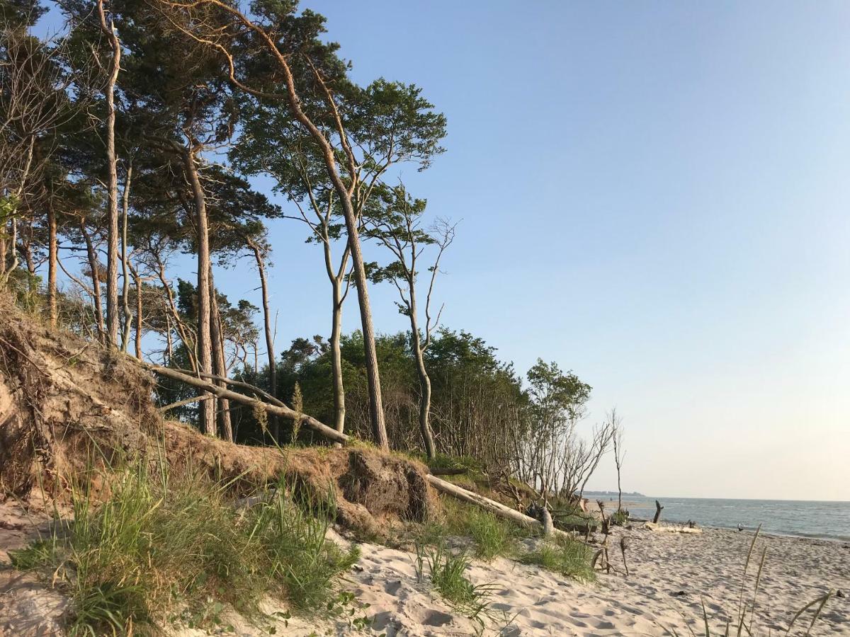 "Kontorhaus" By Ferienhaus Strandgut Born Extérieur photo